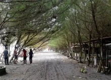 Pantai Kuwaru