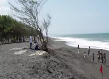Pantai Pandansimo